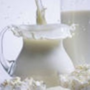 Оборудование для розлива молока и молочных продуктов фото