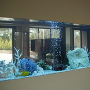 Коралловый риф в аквариуме фото