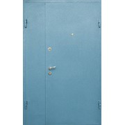 Наружные двери с покраской 16 фотография