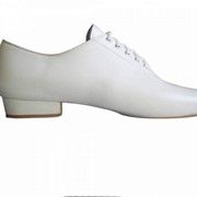 Обувь для танцев, М54 фото