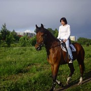 Катание на лошадях, ПОНИ фото