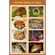 Плакат Приготовление Рыбных блюд Г.26 фото