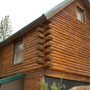 Морилки, лаки, герметики для деревянного домостроения "Sashco", США