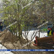 Прокол ГНБ фото