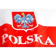 Контейнерные перевозки из Польши