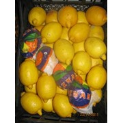Лимоны оптом фото