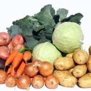 Овощи из РБ высокого качества фото