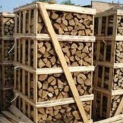 Закупка леса, древесины