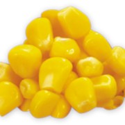 Кукуруза свежемороженая в зерне фото