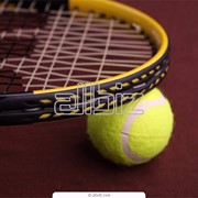 Большой теннис фото