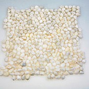Каменная мозаика MS5005 ГАЛЬКА крупная белая фото