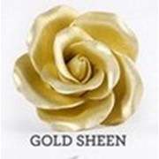 Пищевые красители ateco (сша) gold sheen, 20мл фото