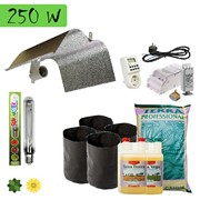 Indoor Grow Kit Soil 250w - BASIC