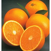 Апельсины свежие фото