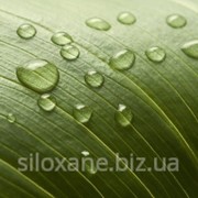 Силиконовый ПАВ WACKER® L 066 Silicone Fluid фото
