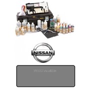 Краска набор для самостоятельной покраски сидений Nissan Серый