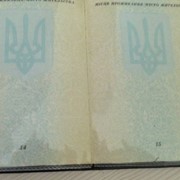 Обложка ПВХ на страницу паспорта фото