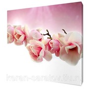 Картина на холсте 50х50 LK311 фото