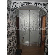 Двери для шкафов купе затемненные с узором дерева фото