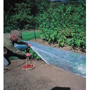 Агроволокно 30 г/м² (для укрытия любых растений на грядке или теплиц/парников). фото