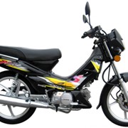 Мотоциклы SHINERAY, XY110-6