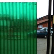 Сотовый поликарбонат 4 мм. Зелёный фото