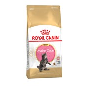 Royal Canin Корм Royal Canin для котят мейн-куна (4-15 мес.) (10 кг) фото