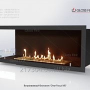 Встраиваемый биокамин "Очаг Focus MS-арт.006" ТМ Gloss Fire