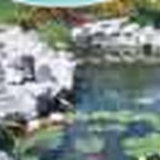 Проектирование и монтаж систем дренажа и водоотведения, Устройство декоративных водоемов, фонтанов, каскадов и ручейков фото