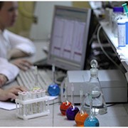 Экологическое сопровождение и мониторинг фото