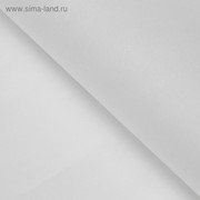 Бумага тишью "Белая", 50 х 76 см, 24 шт.