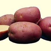 Семенной картофель лаура 1рс фотография