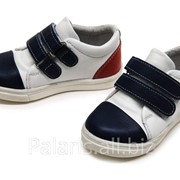 Кроссовки на липучке Palaris 2021-366415, размеры 31-36 фото