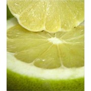 Помело (Citrus grandis) цена оптом Украина фото