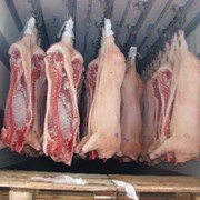 Мясо Свинины Оптом от 10 тонн от изготовителя.
