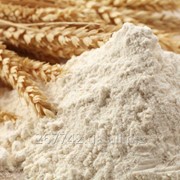 Пшеничная мука на экспорт (высший и первый сорт)