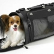 BG-S-8 (сумка для перевозки собак) фото