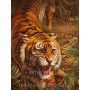 Картина-Раскраска по номерам ХИЩНИК фото