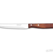 Нож для овощей Arcos Latina 105 мм (100501) фото