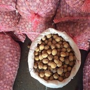 Грецкий орех Краснодарский от 1000кг фото