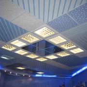 Декоративные панели подвесных потолков фото