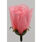 Роза бутон (5 см, 1 шт), ярко-розовый