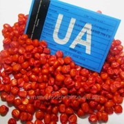 Семена кукурузы Солонянский 298 СВ. ФАО - 310