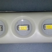 LED Module 3pcs SMD5630, 0.72W,120°,175LM ,DC12V,IP65,Blue фото