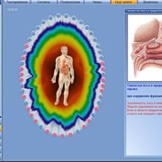 Биорезонансное тестирование на Брис фотография