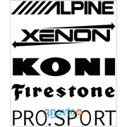 Наклейка логотип вырез. (плоттер) “Alpine…“ (300х250) цвет черный (к-т 5 шт.) (уп. 1 к-т) A-STICKER фото