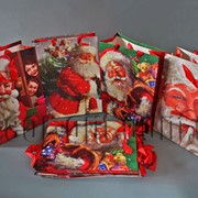 Подарочные картонные пакеты Санта Клаус 18х24х8см/12шт TO593 570716