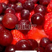 Фрукты замороженные фото