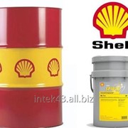 Трансмиссионное масло Shell Spirax S4 TXM 209 л