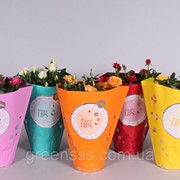 Роза Любимые розы микс -- Rose Favourite Roses mixed фото